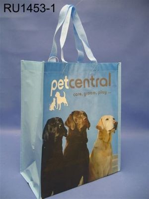 Laminated Woven Package Bags Gravure Print Custom Design Aanpasbaar