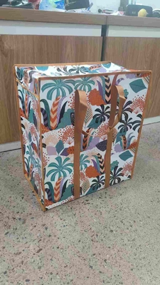 Custom PP Woven Shopping Bag with Sewn Sealing 10kg Capacity